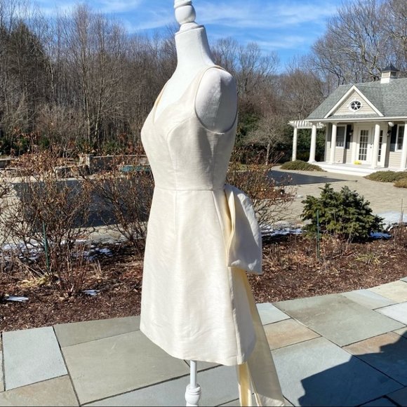 NWT Sachin and Babi Archie Mini Dress in Ivory 4 - Picture 12 of 17